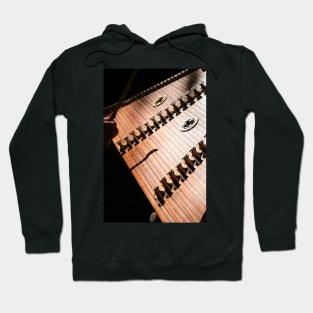 Dulcimer Player Hoodie